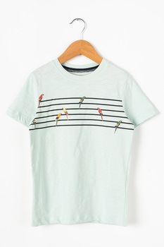 Jack&Jones, Tricou de bumbac cu imprimeu grafic si dungi Playa, albastru aquamarin, negru, galben, 176 CM Jack&Jones, Tricou de bumbac cu imprimeu grafic si dungi Playa, albastru aquamarin, negru, galben, 176 CM