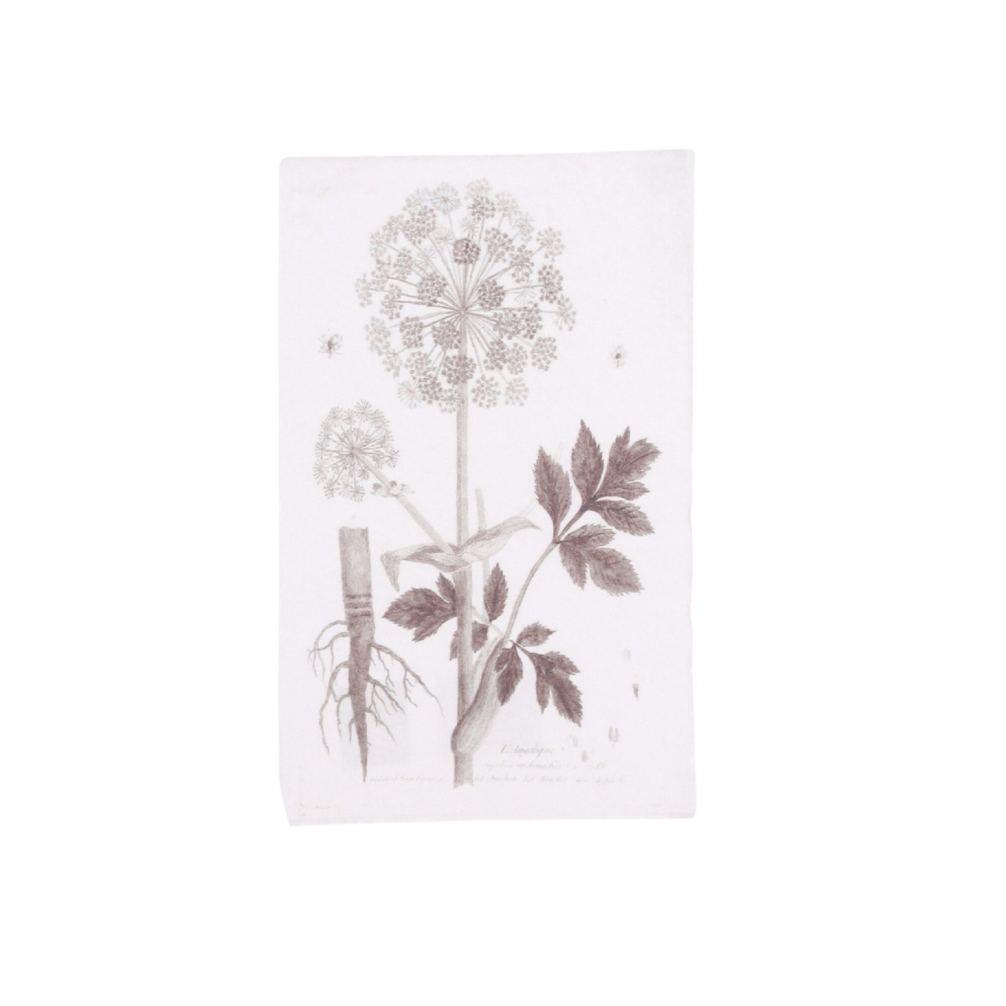 Decoratiune print hartie reciclata, Botanical, 20x14,5 cm