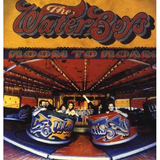 Waterboys - Room To Roam (LP)