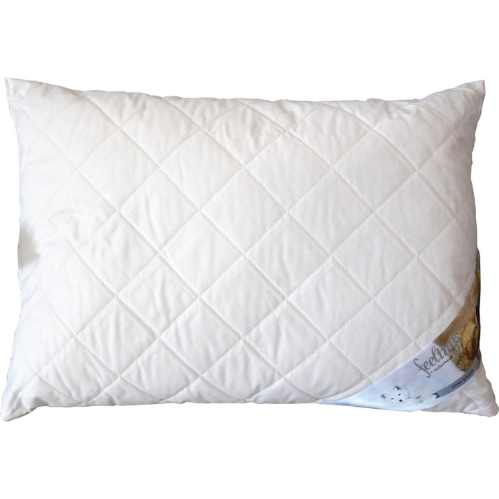 Feelings by Billerbeck Mediguard kispárna, 36x48 cm