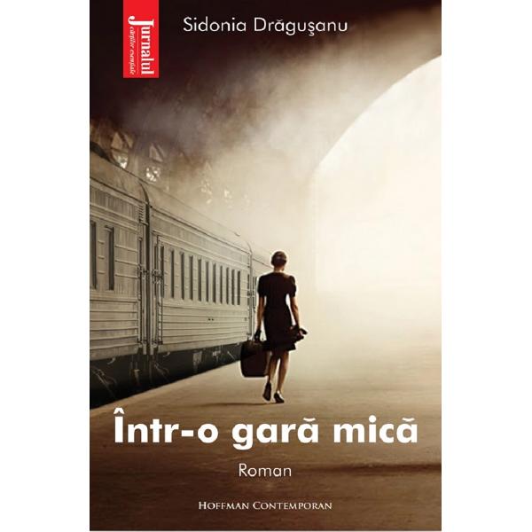 Intr-o gara mica - Sidonia Dragusanu