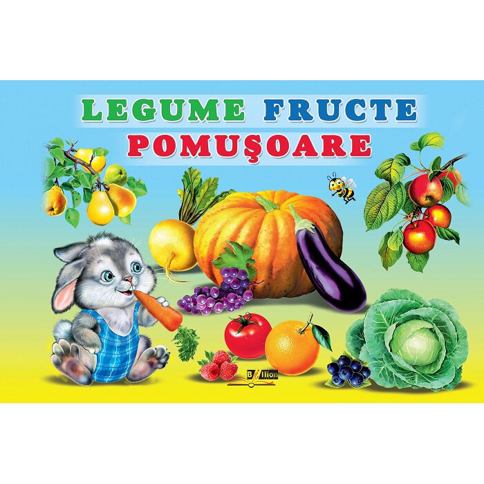 Carton - Legume - Fructe - Pomusoare