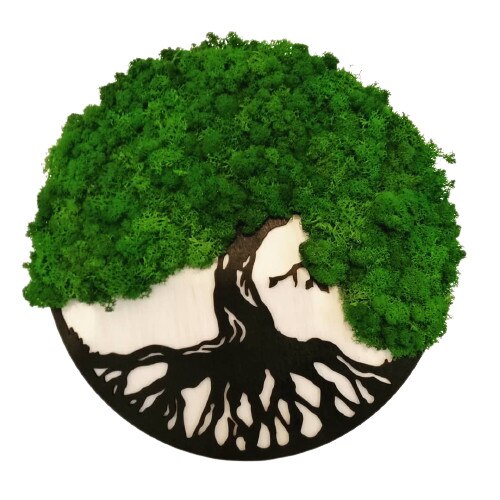 Tablou licheni, Model Copacul Vietii, Thesaria, Personalizabil, Multicolor, 30 cm