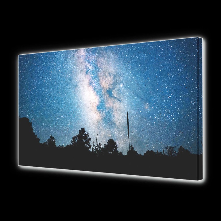 Tablou Canvas Led cu Intrerupator, Luminos in Intuneric, Premium, Art Star, Puzderie de stele, Panza pe cadru de lemn, Decoratiuni Moderne pentru Casa, 30 x 45 cm