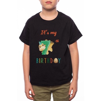 Tricou Baiat, 7th Birthday, 100% Bumbac, Negru, B14 Tricou Baiat, 7th Birthday, 100% Bumbac, Negru, B14