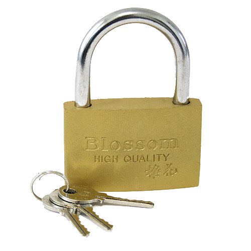 Lacat suspendat acoperit cu alama, 40mm, 3 chei incluse, Slovakia Trend