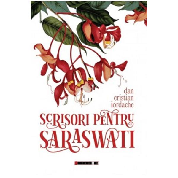 Scrisori pentru Saraswati - Dan Cristian Iordache