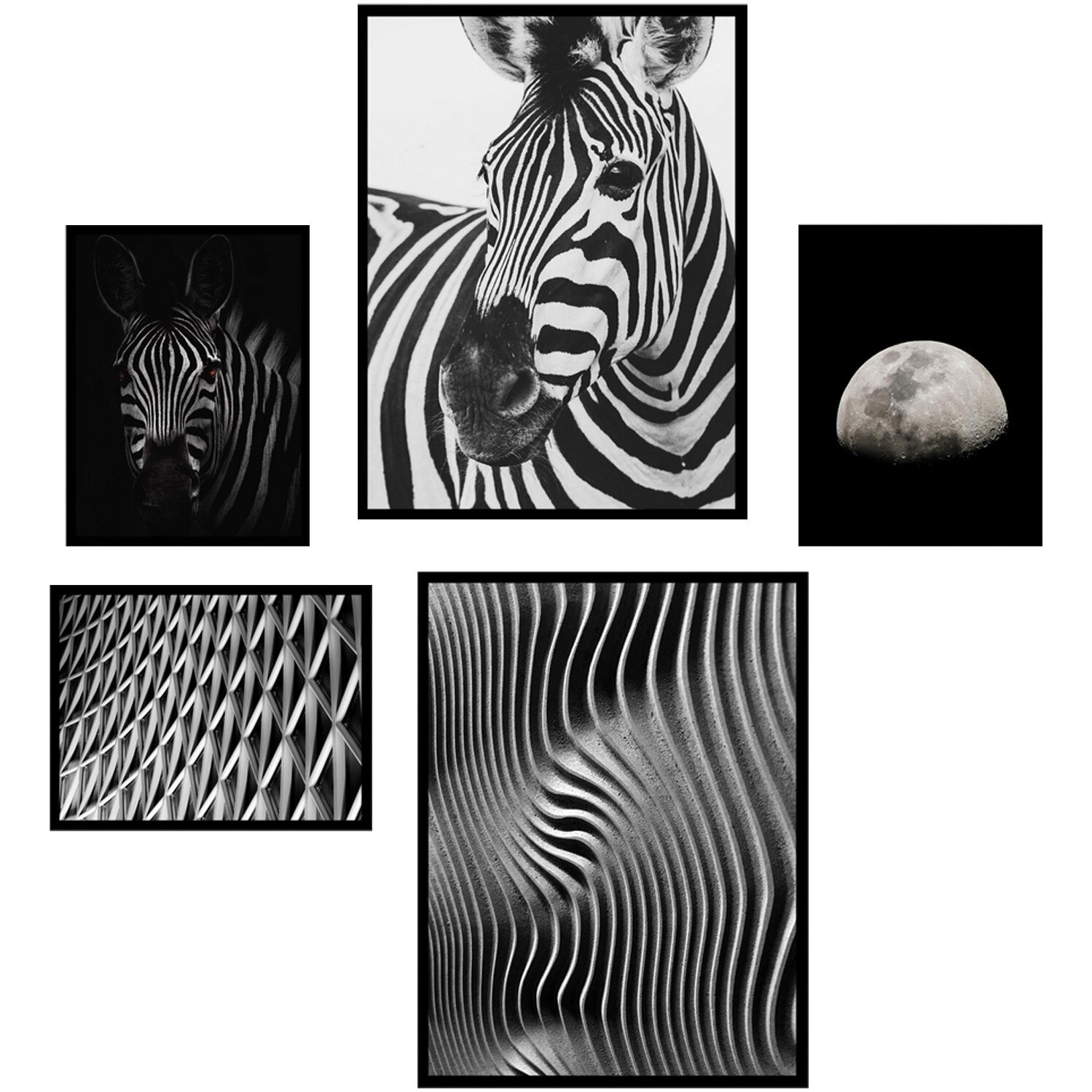 Set 5 tablouri decorative Heinner Home Zebra BW
