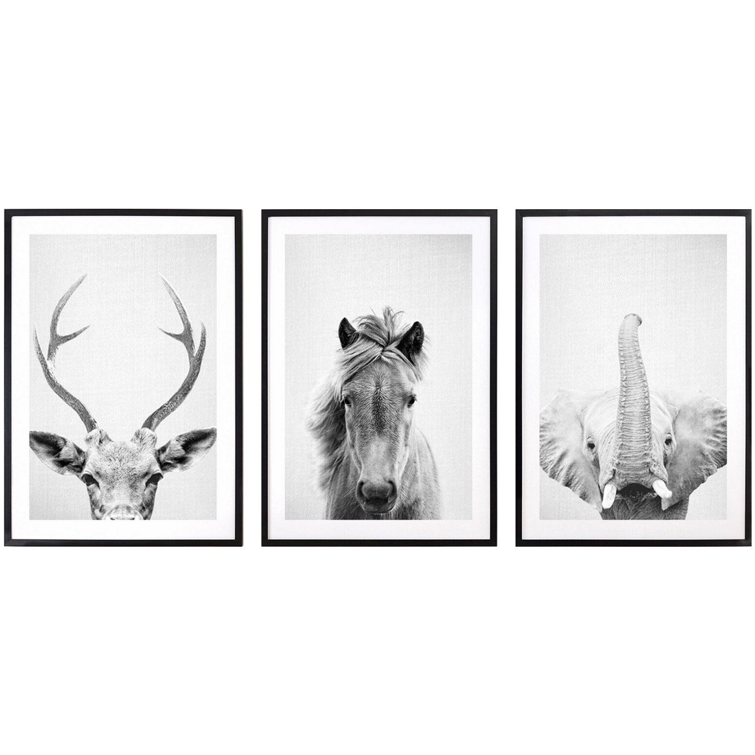 Set 3 tablouri decorative Heinner Home Animals BW