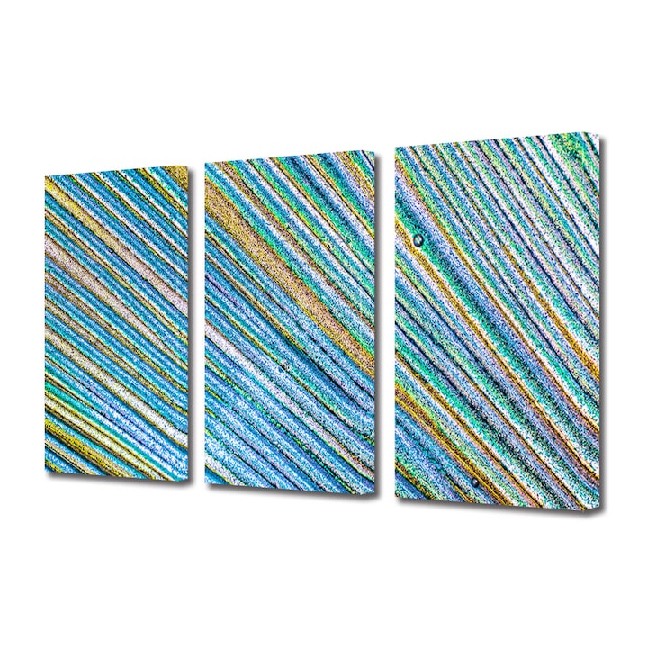 Set Tablouri Multicanvas 3 piese, Art Star, Spatiu in dungi, Panza pe cadru de lemn, Decoratiuni Moderne pentru Casa, 30 x 60 cm (3 piese de 20 x 30 cm)