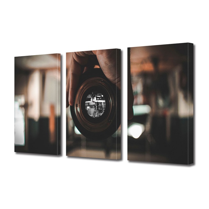 Set Tablouri Multicanvas 3 piese, Art Star, Camera vintage abstracta, Panza pe cadru de lemn, Decoratiuni Moderne pentru Casa, 60 x 120 cm (3 piese de 40 x 60 cm)