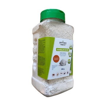 Produs plosnite de pat - Pamant de Diatomee - Borcan 500 g cu capac flip top Produs plosnite de pat - Pamant de Diatomee - Borcan 500 g cu capac flip top