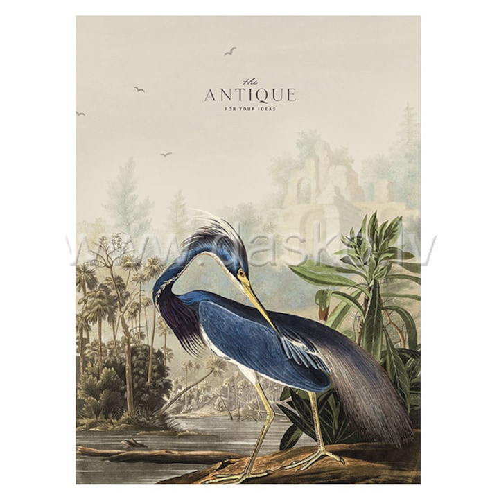 A4-es 80 lapos négyzetrácsos füzet