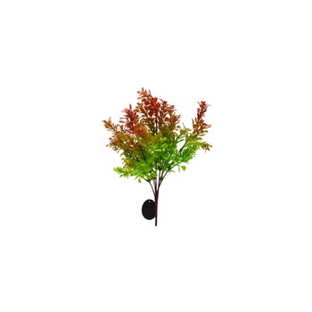 Planta artificiala cu 7 fire, Naimeed D3083, culoare Verde / Rosu, 35 x 11 cm Planta artificiala cu 7 fire, Naimeed D3083, culoare Verde / Rosu, 35 x 11 cm