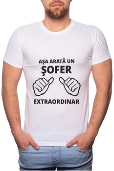 Tricou barbati, Asa Arata Un Sofer, 100% Bumbac, W2, Alb Tricou barbati, Asa Arata Un Sofer, 100% Bumbac, W2, Alb