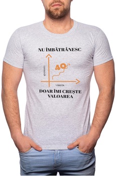 Tricou barbati, Nu Imbatranesc, 100% Bumbac, GR10, Gri Tricou barbati, Nu Imbatranesc, 100% Bumbac, GR10, Gri