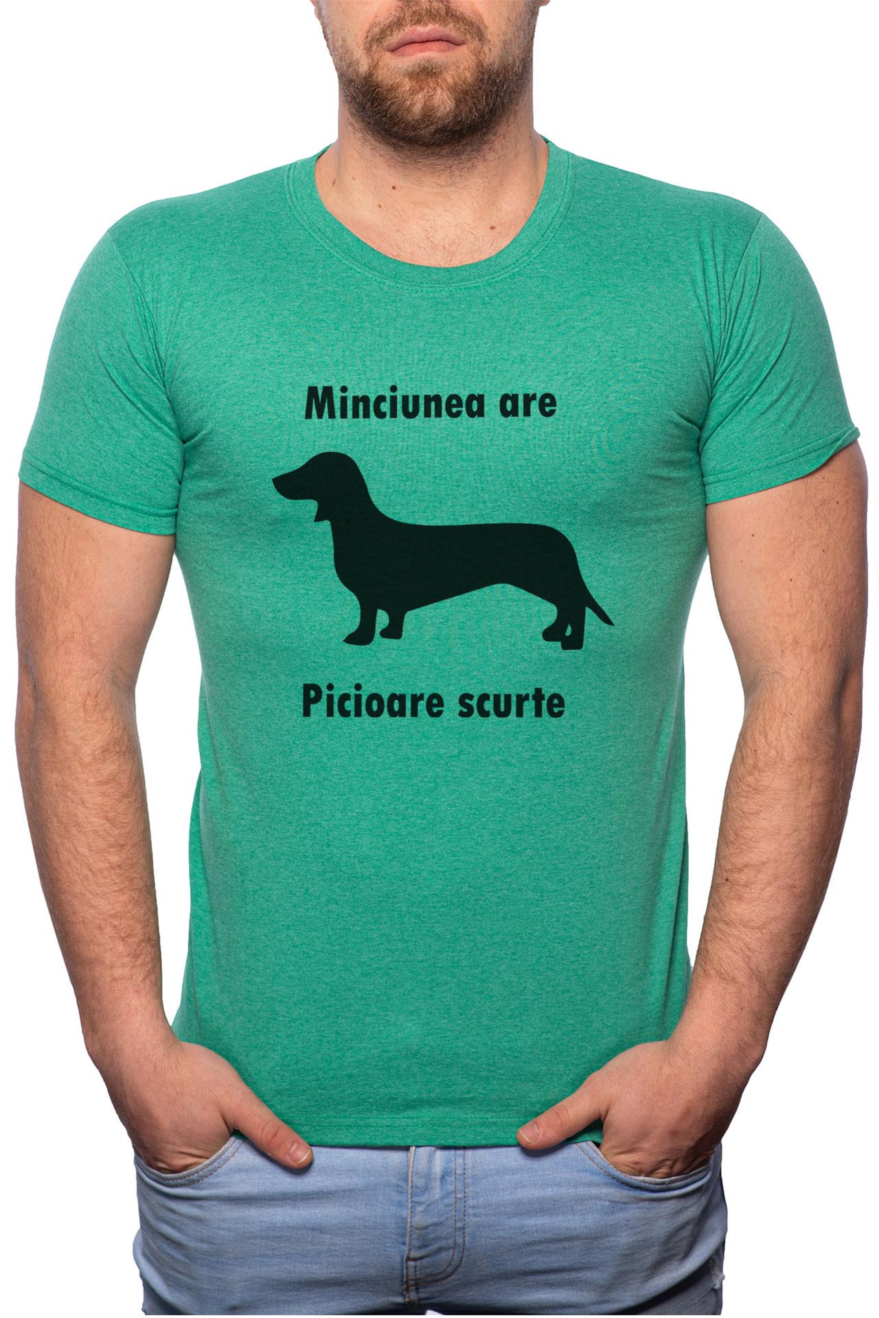 Tricou barbati, Picoare Scurte, 100% Bumbac, G73, Verde