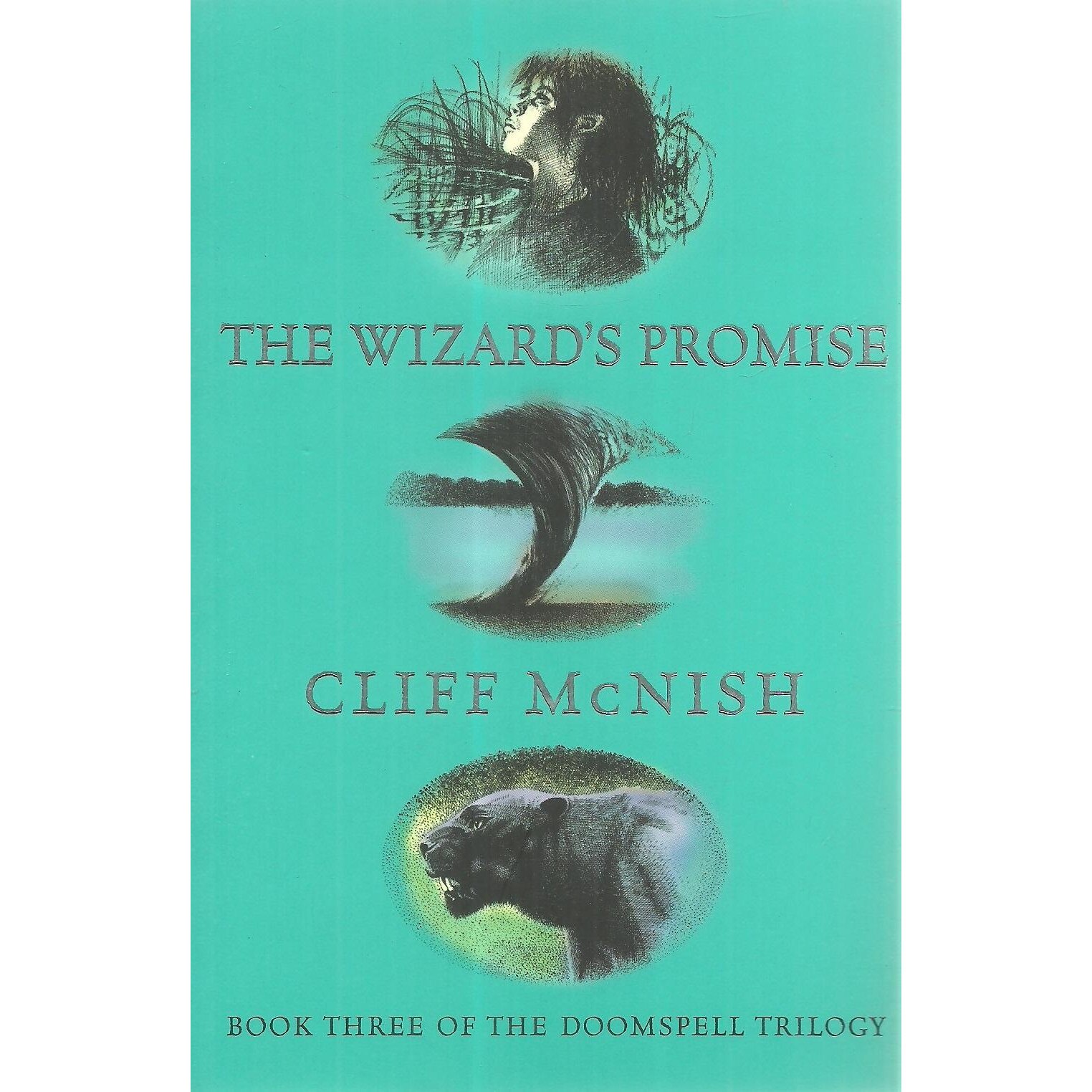 The Wizard s Promise, Cliff McNish