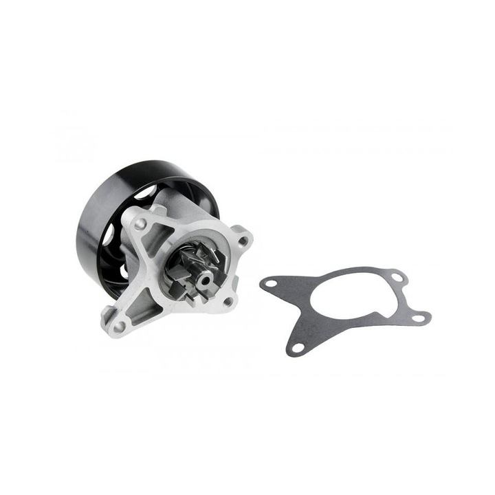 Pompa apa Renault Megane III 2008-> BZ0/1 , KZ0/1 , DZ0/1 203851