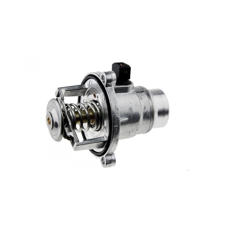 Termostat BMW X5 1999-2006 E53 206191