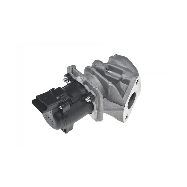 Egr Peugeot 407 2004-> 6D ,6C ,6E 222461