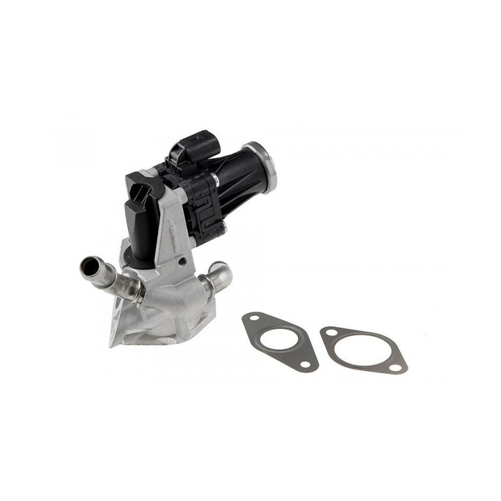 Egr Ford Transit 2013-> 222871