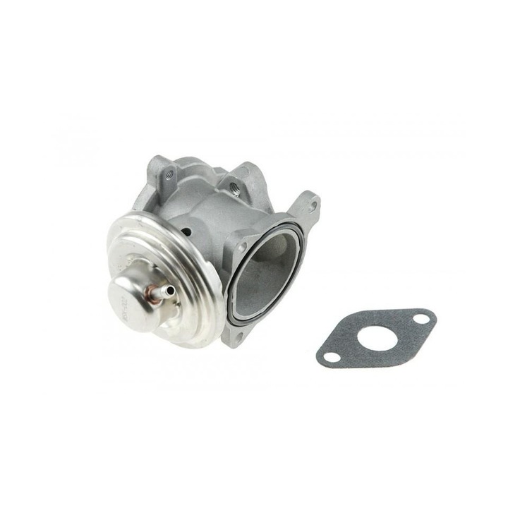 Egr Volkswagen Polo 2001-2012 9N 223971
