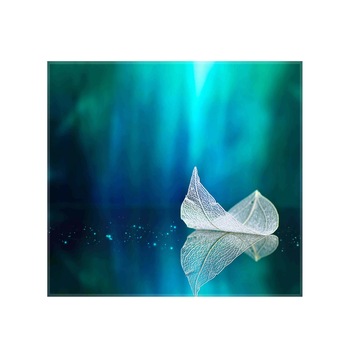 Sticla bucatarie securizata Saint Gobain Glass®, imprimata 60x55cm, protectie antistropire pentru aragaz, Ambra Deco, Frunza alba Sticla bucatarie securizata Saint Gobain Glass®, imprimata 60x55cm, protectie antistropire pentru aragaz, Ambra Deco, Frunza alba