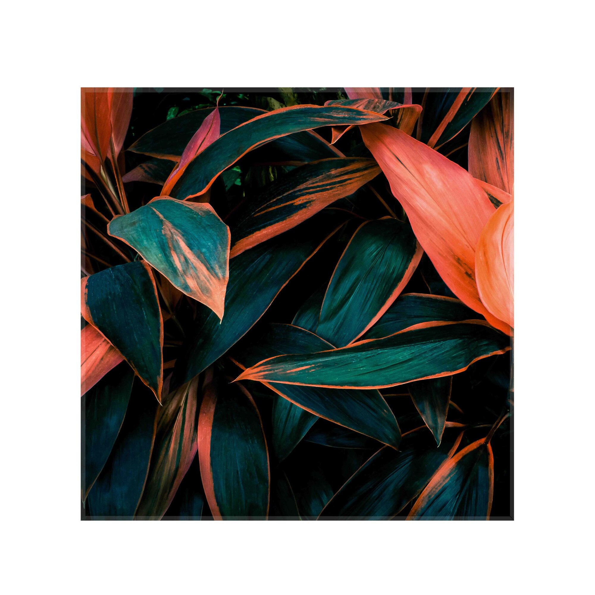 Sticla bucatarie securizata Saint Gobain Glass®, imprimata 65x65cm, protectie antistropire pentru aragaz, Ambra Deco, Natura tropicala