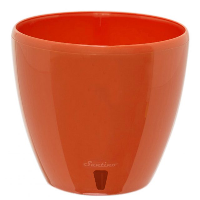 Ghiveci Deco Twin , Morcov 4.0 L