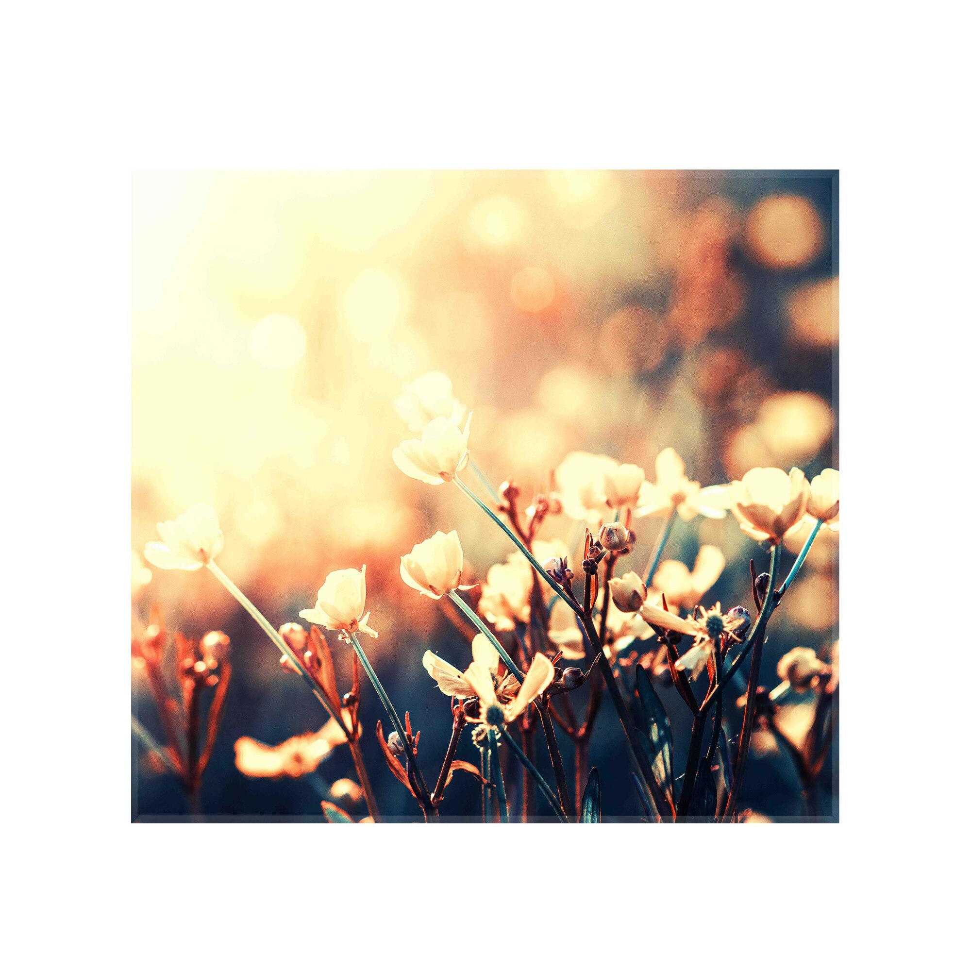 Sticla bucatarie securizata Saint Gobain Glass®, imprimata 65x60cm, panou protectie antistropire pentru aragaz, Ambra Deco, Flori in apus