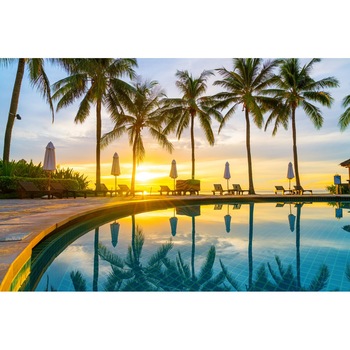 Fototapet de perete autoadeziv si lavabil Plaja79 cu piscina si palmieri, 220 x 135 cm Fototapet de perete autoadeziv si lavabil Plaja79 cu piscina si palmieri, 220 x 135 cm
