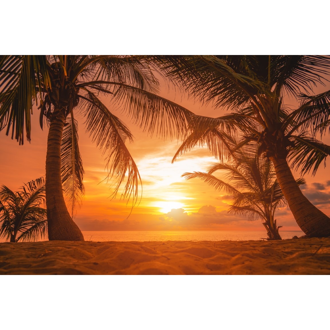 Tot timpul Comprima Fantezie  Fototapet Plaja78 cu palmieri in apus de soare, 400 x 250 cm - eMAG.ro