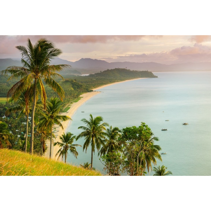 Blueback Mat Beach 62 tapéta pálmafákkal, 250 x 200 cm