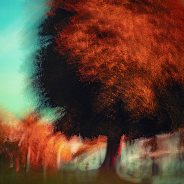 Autocolant Art Star pentru mobilier, Copac abstract, autoadeziv, latime 50 cm x lungime 70 cm