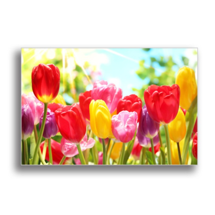 Printly, Színes Vászonkép, "Színes tulipán" címmel, 100x70cm
