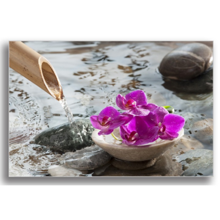 Картина Printly, Фън шуй, Дигитален печат, 100х70см