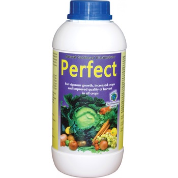 Biostimulator de crestere PERFECT - 1 Litru Biostimulator de crestere PERFECT - 1 Litru