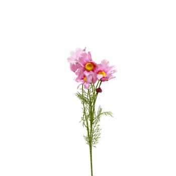 Planta artificiala cu 8 fire, Naimeed D3118, culoare Roz, 85 x 20 cm Planta artificiala cu 8 fire, Naimeed D3118, culoare Roz, 85 x 20 cm