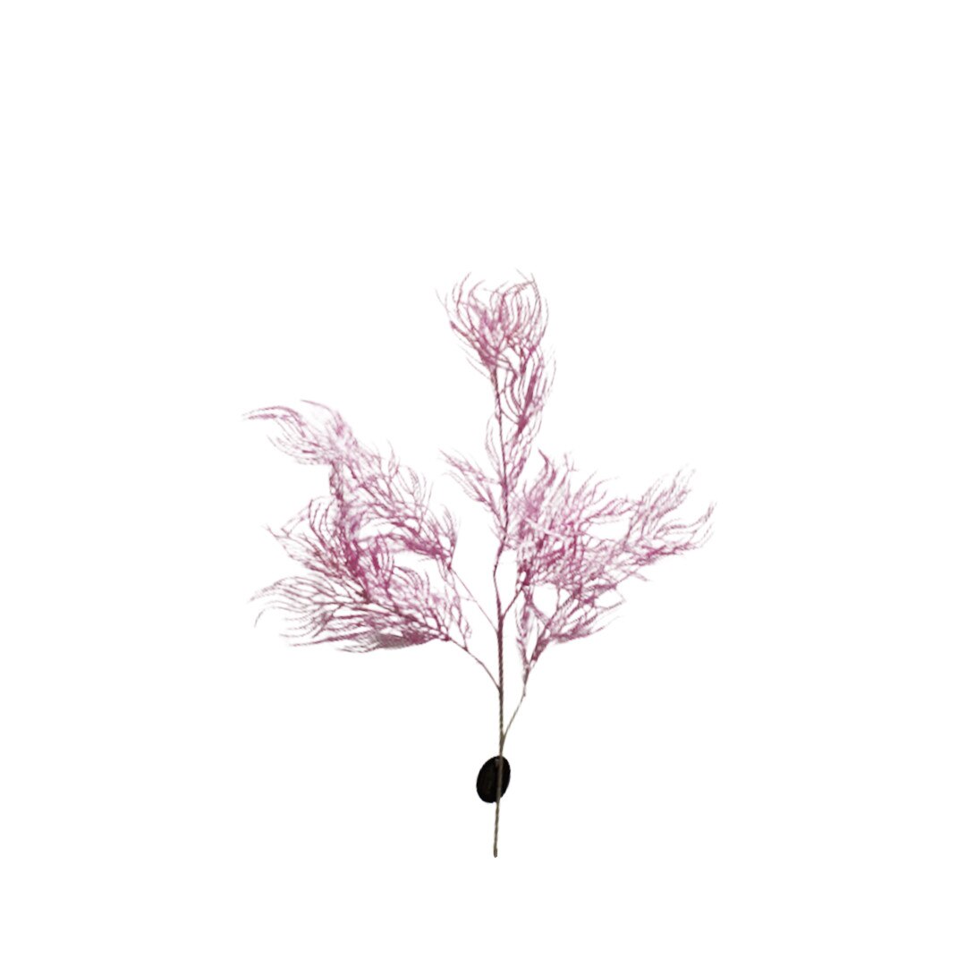 Planta artificiala cu 5 fire, Naimeed D3113, culoare Roz, 90 x 20 cm