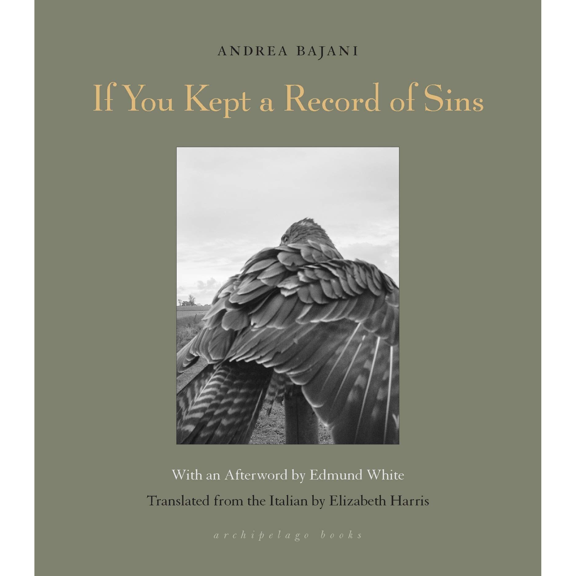 bosom Grab Distract If You Kept A Record Of Sins - Andrea Bajani,Elizabeth Harris, editia 2021  - eMAG.ro