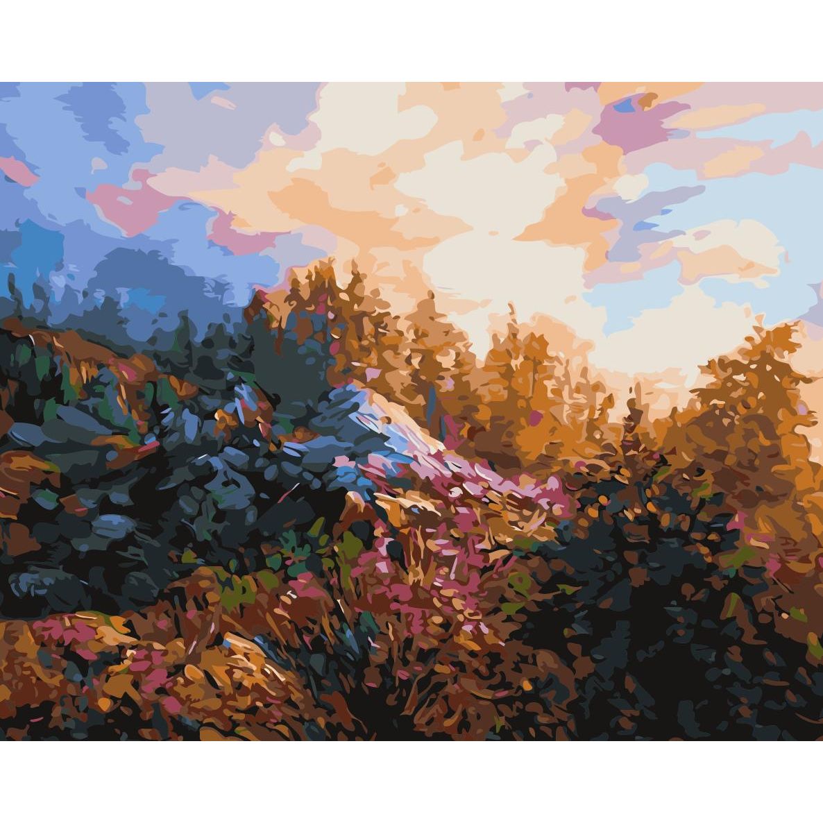 Set Pictura pe numere 40x50 cm, Panza din bumbac pe rama de lemn (PDP-1884)