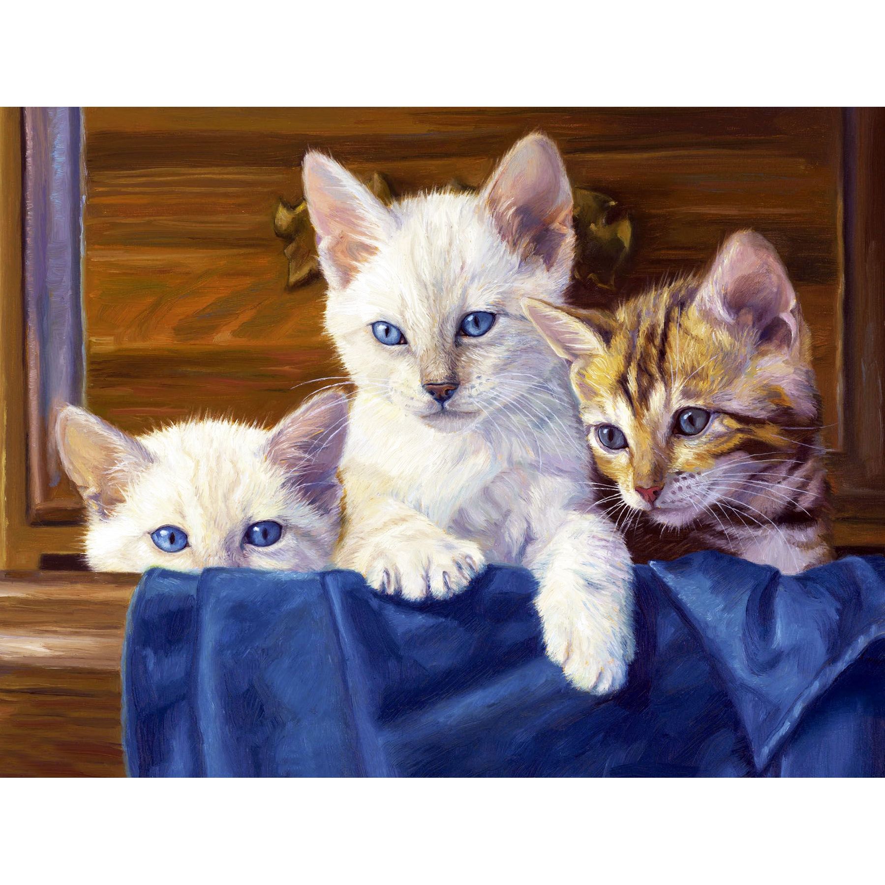 Set Pictura pe numere 40x50 cm, Panza din bumbac pe rama de lemn (PDP-2066)