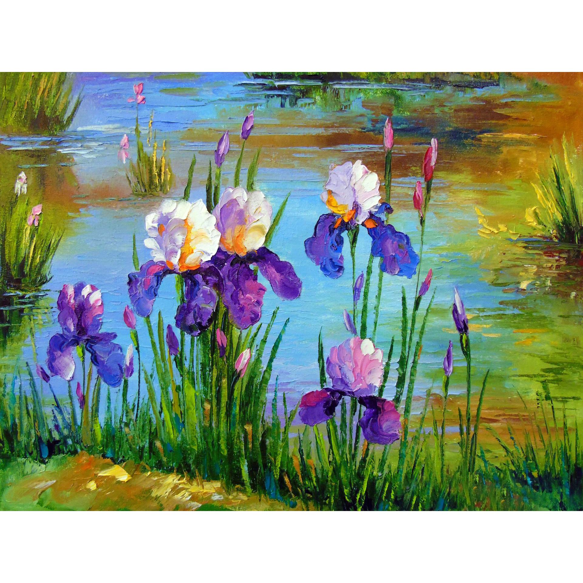 Set Pictura pe numere 40x50 cm, Panza din bumbac pe rama de lemn (PDP-2026)