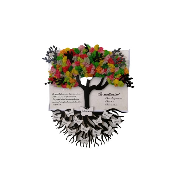 Tablou licheni, Model Invatatoare Educatoare, Thesaria, Personalizabil, Multicolor, 45x35 cm