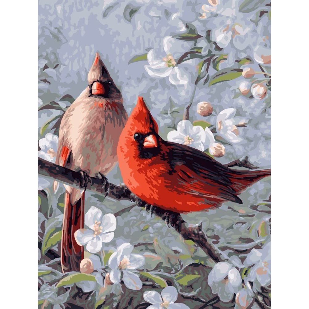 Set Pictura pe numere 40x50 cm, Panza din bumbac pe rama de lemn (PDP-1870)