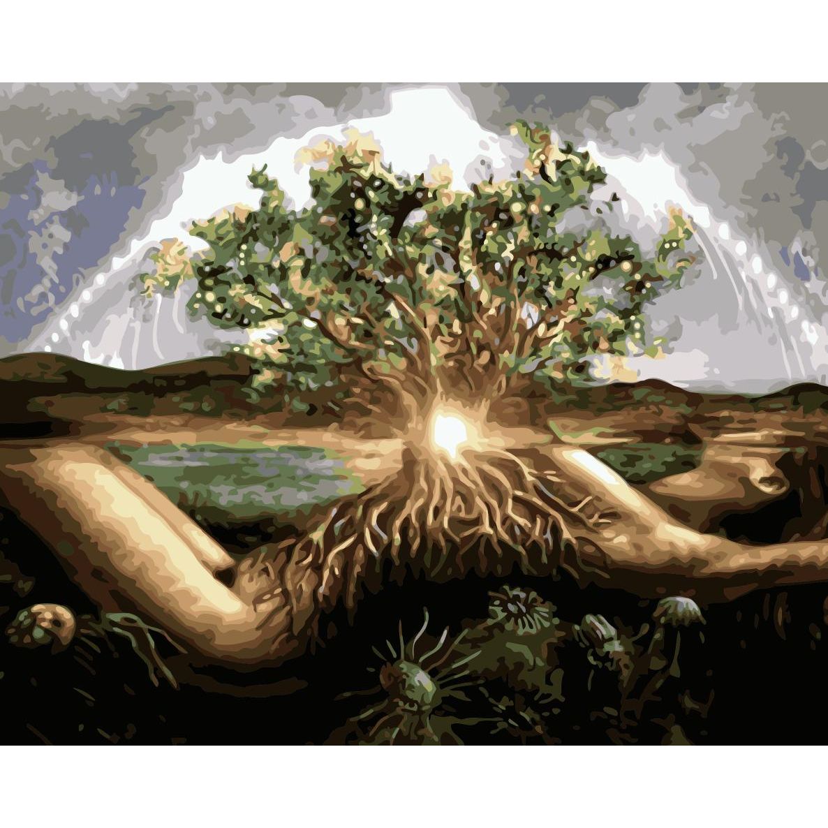 Set Pictura pe numere 40x50 cm, Panza din bumbac pe rama de lemn (PDP-1948)