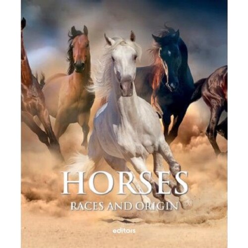 Horses - David DalmauSalvador Bocharan