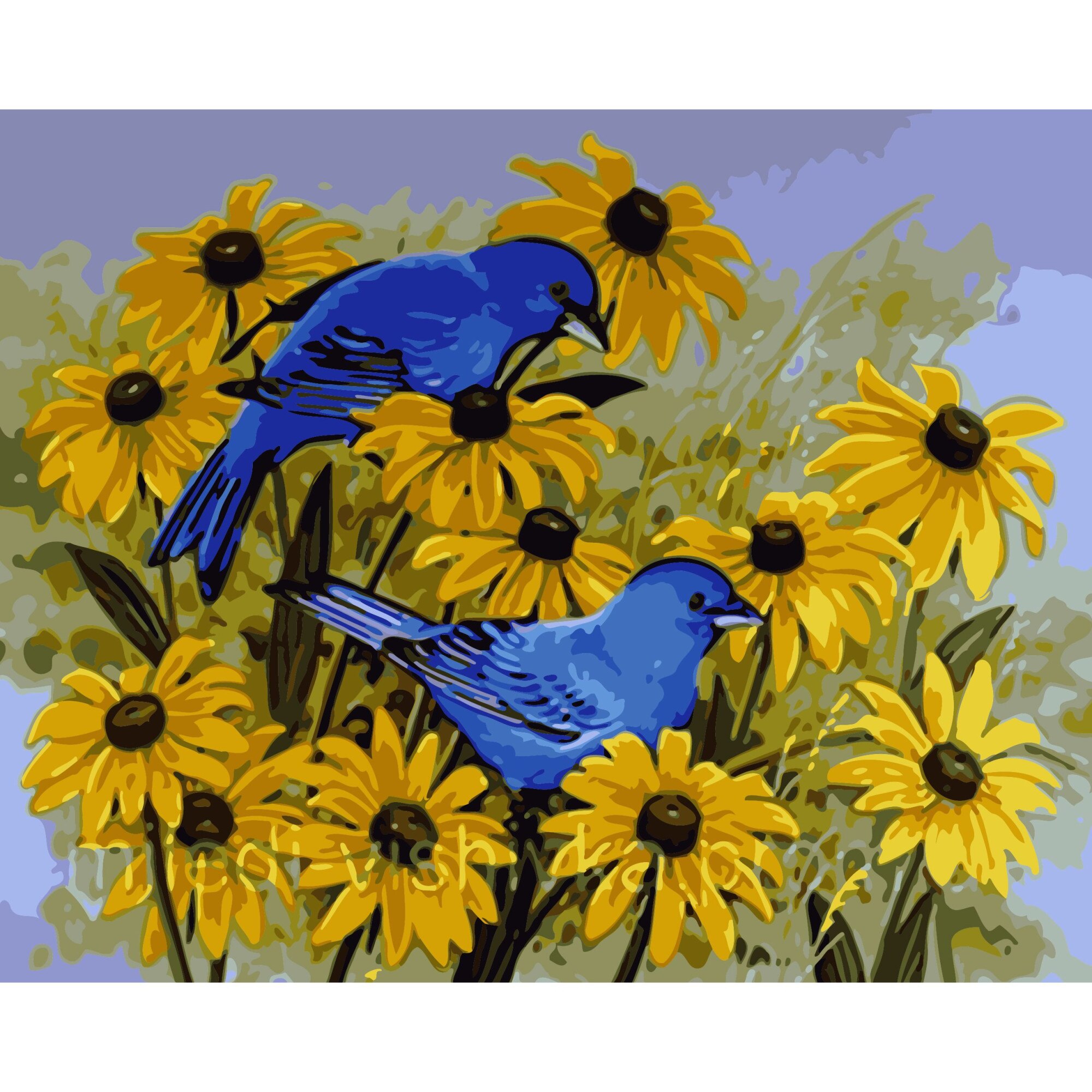 Set Pictura pe numere 40x50 cm, Panza din bumbac pe rama de lemn (PDP-2727)