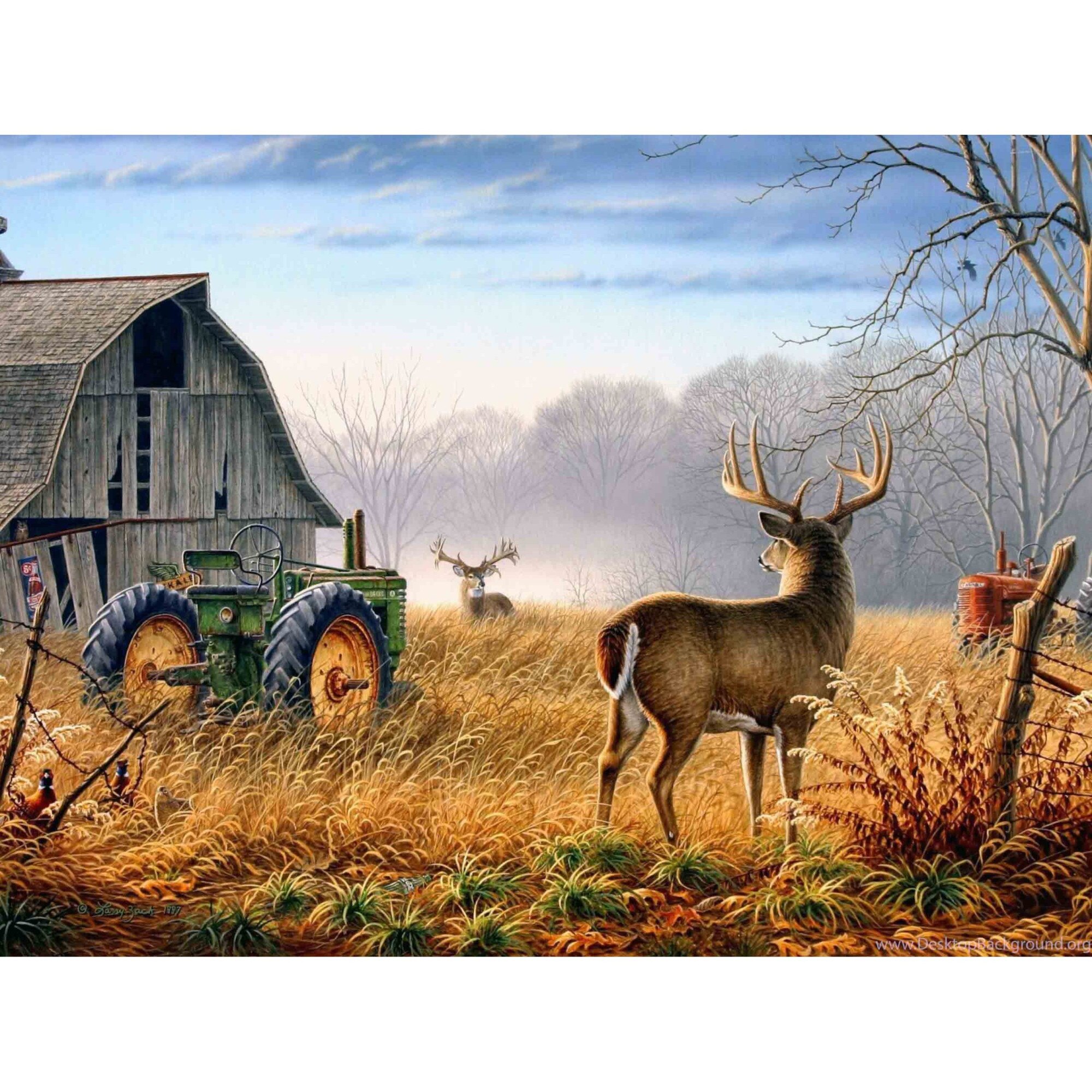 Set Pictura pe numere 40x50 cm, Panza din bumbac pe rama de lemn (PDP-2001)